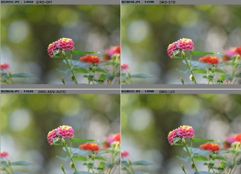 A700-DRO-compare-full-2