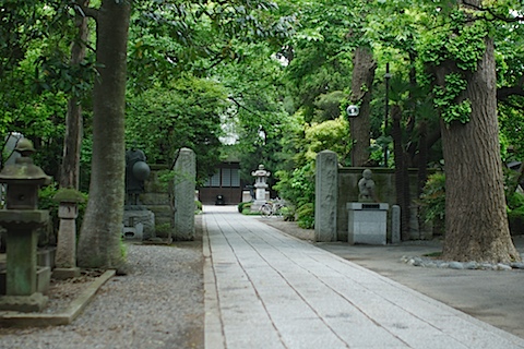 DSC04375.JPG