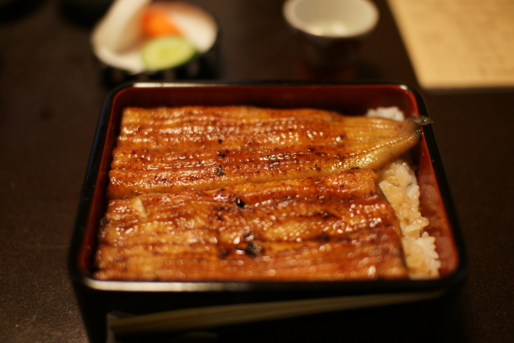 DSC05532.JPG